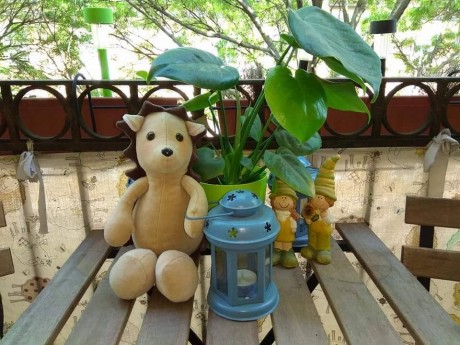 Mackók a gyermekkönyvtárban - textilkiállítás nyílik szombaton